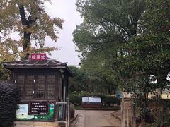 -雨花胜境