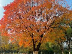 -艾溪湖湿地公园