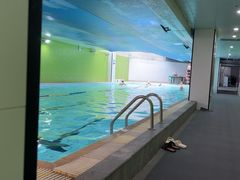 -DBSWIM深呼吸国际游泳培训(保利颂店)