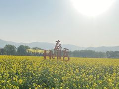 -长兴太湖图影湿地文化园