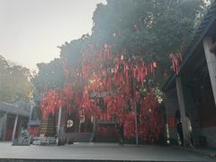 -国恩寺