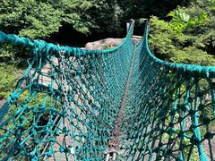 -大奇山国家森林公园