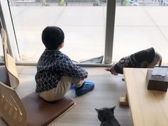 -藏猫猫咖啡主题馆(中央大道店)
