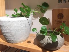 -左悦·艾灸调理·推拿按摩·精油SPA(卓悦汇店)