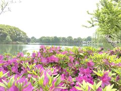 -尚湖风景区