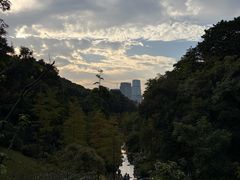 -云溪植物园