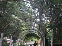 -院子餐厅·大锅菜·老杭帮(桥西直街店)