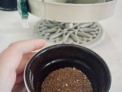 -悟白咖啡WoobyCafe