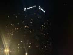 -上海浦东国际旅游度假区绿地铂骊酒店