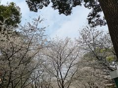 -东湖生态旅游风景区