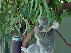 -费瑟代尔野生动物园