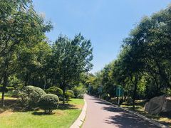 -济南国际园博园