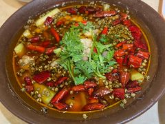 -杨氏青龙虾·羊蝎子(珠江路店)
