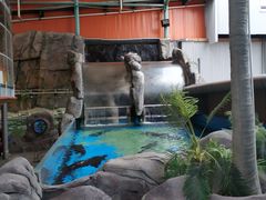 -成都浩海立方海洋公园