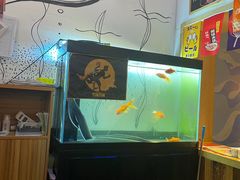 -鳗鱼家·深夜食堂(军博店)