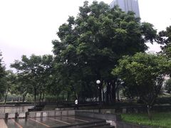 -后襄河公园