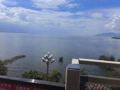 -野菌皇海景野生菌火锅(滨海大道店)