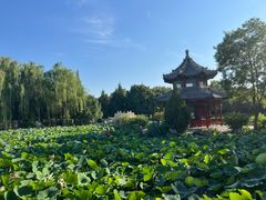 -莲池书院博物馆