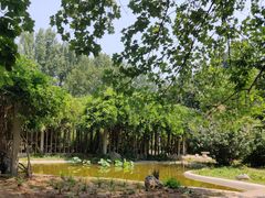 -北京植物园南门售票处