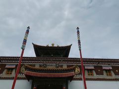 -塔尔寺-菩提树