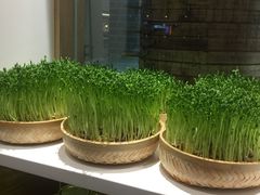 -千稻剁椒大鱼头(CityOn熙地港店)