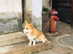 -浔蹄(南浔总店)
