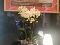 -广州花园酒店