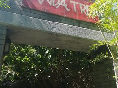 -圣地亚哥动物园