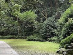 -虎跑公园