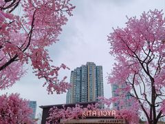 -首开·龙湖成都西宸天街