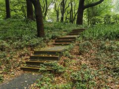 -徐家汇源景区-衡山公园