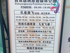-西双版纳原始森林公园