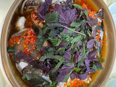 紫苏鱼头-笨罗卜浏阳菜馆(龙华鹏润达店)