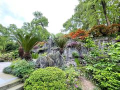 -南山植物园