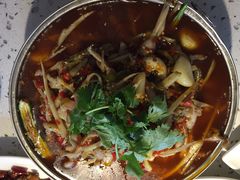 兔行天下（中海国际）-兔行天下-鸿鹤鲜锅兔(中海国际店)