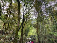 -石门洞景区