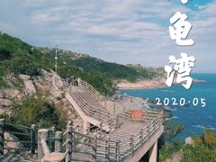 -广东惠东海龟国家级自然保护区
