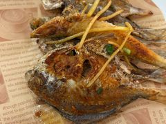 -陈记粤湛鸡饭店
