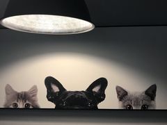 -吃饼人西餐(南开店)