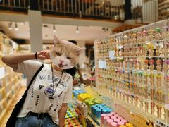 -猫的天空之城概念书店(苏州平江店)