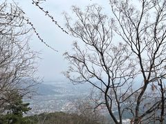 -香山公园