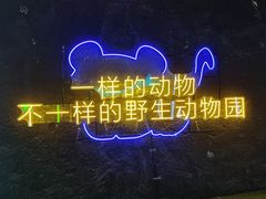 -栾川竹海野生动物园