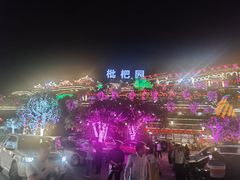 -枇杷园食为鲜火锅(南山店)