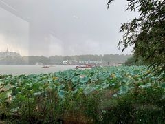-湖畔居茶楼(湖滨店)