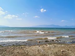 -月亮湾湿地公园