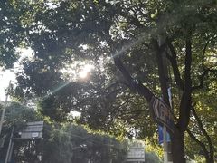 -玲珑餐厅(陕西南路店)