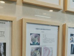 -半岛宠物医院24小时·内窥镜·牙科·碎石中心(府城大道店)