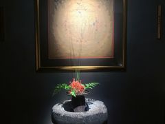 -觀芷隐轩