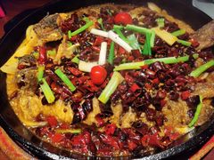 -老板恋上鱼(高新万达店)