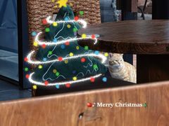 -旧雨咖啡·CoffeeFORU(黄村奥体店)